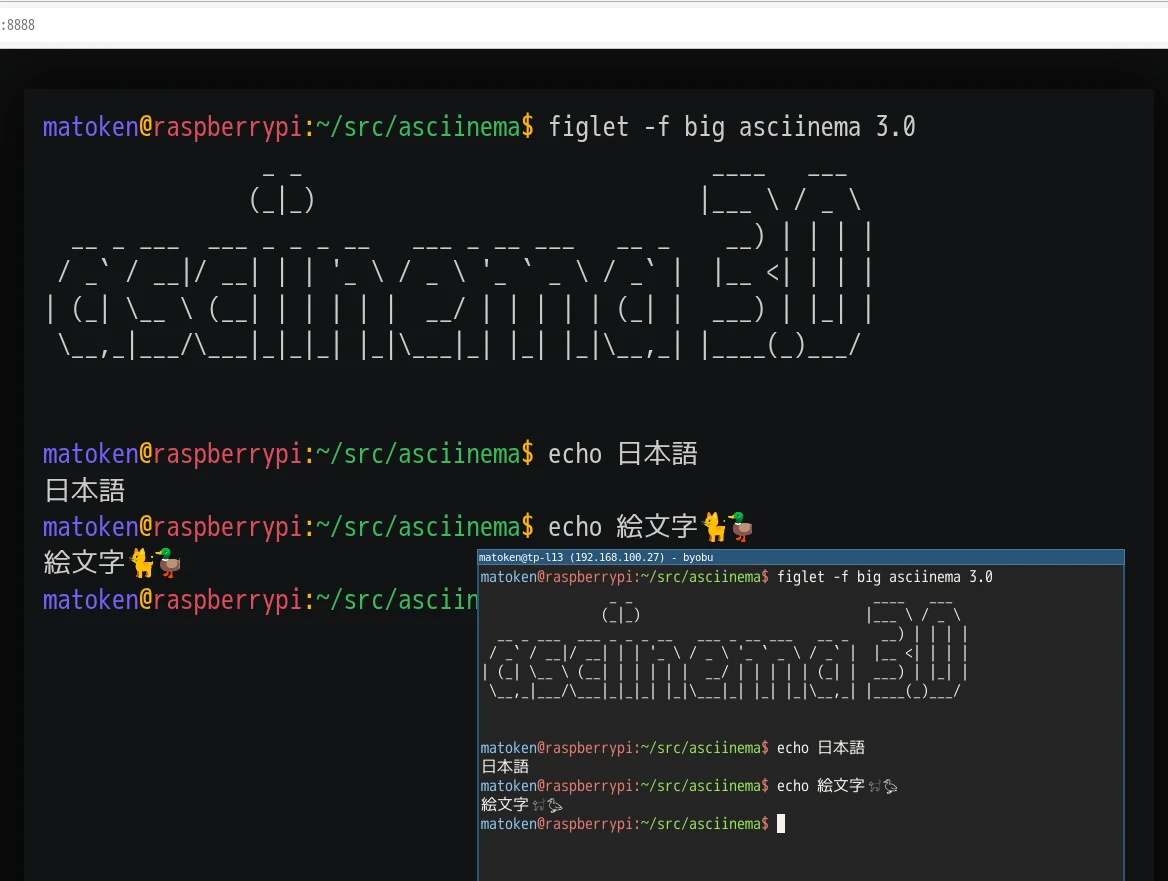 asciinema stream local
