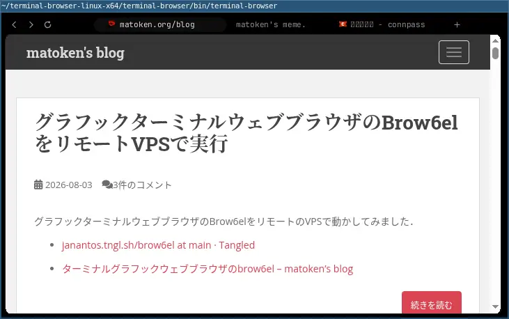 terminal browser01