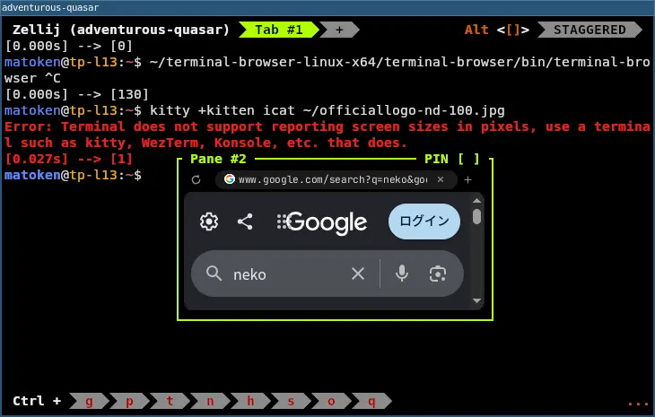 terminal browser06